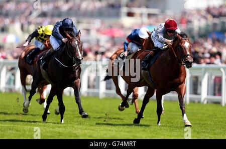 Toronado guidato da Richard Hughes sulla loro strada per la vittoria in Queen Anne Stakes durante il giorno uno del Royal Ascot Meeting 2014 all'Ippodromo di Ascot, Berkshire. Foto Stock