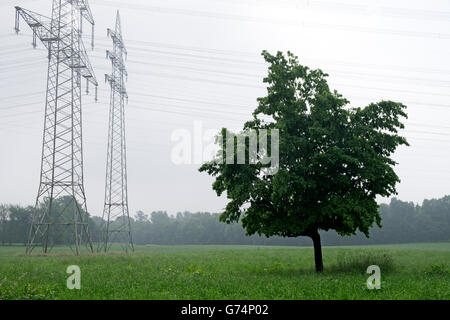 Di energia elettrica ad alta tensione, tralicci Leichlingen, Renania settentrionale-Vestfalia (Germania). Foto Stock