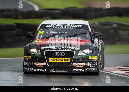 Motor Racing - Dunlop MSA British Touring Car Championship - Oulton Park Foto Stock