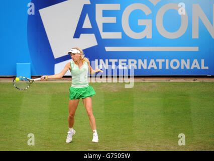 Tennis - AEGON International 2014 - giorno uno - Devonshire Park. Carolione Wozniacki festeggia la battuta di Samantha Stosur durante l'AEGON International al Devonshire Park, Eastbourne. Foto Stock