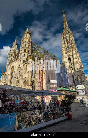 La cattedrale di Santo Stefano o Stephansdom, Vienna, Austria Foto Stock