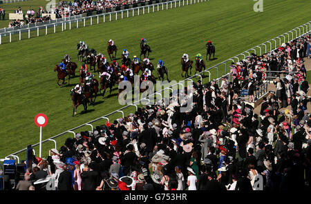 Field of Dream guidato da Adam Kirby sulla loro strada per la vittoria nella Royal Hunt Cup durante il secondo giorno del Royal Ascot Meeting 2014 presso l'ippodromo di Ascot, Berkshire. Foto Stock