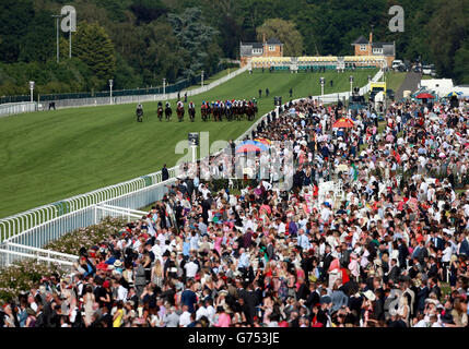 Corse di cavalli - il Royal Ascot Meeting 2014 - giorno due - Ascot Racecourse. Campo di sogno guidato da Adam Kirby sulla loro strada per la vittoria nella Royal Hunt Cup Foto Stock