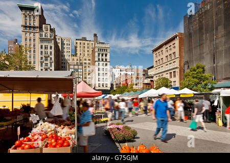 Union Square Greenmarket a Manhattan dove i newyorkesi trovare localmente coltivati ortaggi, frutta e prodotti caseari. New York Foto Stock