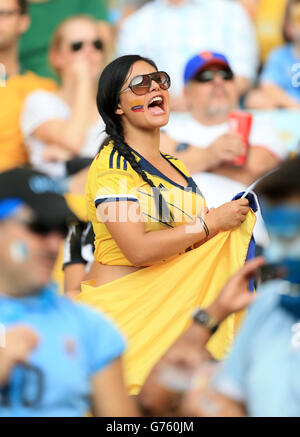 Un fan della Colombia mostra il suo sostegno nelle tribune prima della Coppa del mondo FIFA, gara del 16 all'Estadio do Maracana, Rio de Janeiro, Brasile. Foto Stock