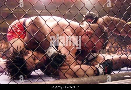 Ultimate Fighting Championship Foto Stock