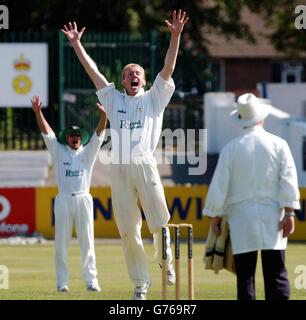 Derbyshire v Middlesex Foto Stock