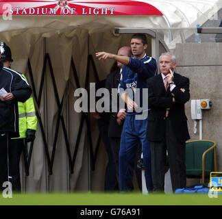 Sunderland v Fulham Foto Stock