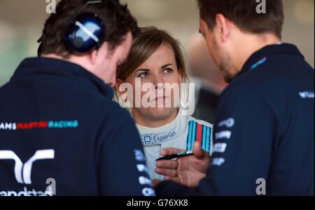 Motor Racing - Campionato del mondo di Formula uno - Gran Premio di Gran Bretagna 2014 - Giornata di pratica - circuito di Silverstone. Williams Susie Wolff durante la giornata di prove al circuito di Silverstone, Towcester. Foto Stock