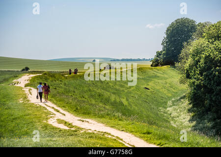 Percorso attraverso la tranquilla bella campagna inglese Foto Stock