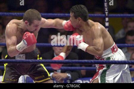 WBO Boxing Campionato mondiale di pesi e contrappesi tra Scott Harrison (Scozia-Black Shorts) e Manuel Medina (Messico) , a Braehead Arena, Glasgow. Foto Stock