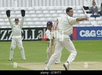 Martin Bicknell di Surrey, a destra, e il guardiano del cazzo Jon Batty fanno appello a LBW contro l'Essex batsman Darren Robinson, Not out, nella partita del campionato della contea di Frizell a Chelmsford. Foto Stock