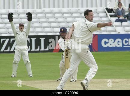 Martin Bicknell, destra, e il guardiano Jon Batty del Surrey appello per LBW contro Essex battman Darren Robinson, non fuori, nella partita del Frazell County Championship a Chelmsford. Foto Stock