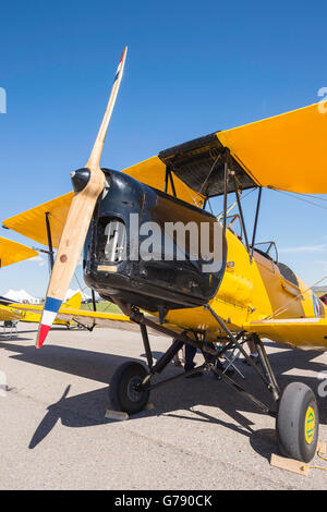 De Havilland DH.82 Tiger Moth, Ali sopra Springbank, Springbank Airshow, Alberta, Canada Foto Stock