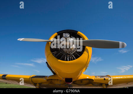 De Havilland Scoiattolo striado DHC 1, Ali sopra Springbank, Springbank Airshow, Alberta, Canada Foto Stock