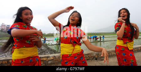 Kathmandu, Nepal. Il 25 giugno, 2016. Nepalese danza delle ragazze in costumi tradizionali dopo la loro partecipazione al riso piantagione in una risaia a Kathmandu, Nepal, Giugno 25, 2016. Come la stagione dei monsoni inizia, popolo nepalese cominciare la semina risaie. © Sunil Sharma/Xinhua/Alamy Live News Foto Stock