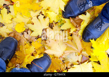 Vista superiore del piede maschile e quello femminile, in piedi sul prato coperto con caduto Giallo autunno foglie di acero. Foto Stock