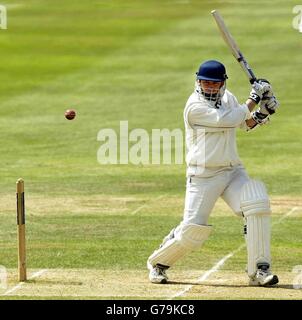 Michael Powell Square di Warwickshire guida una consegna sulla sua strada per il suo mezzo secolo durante i secondi inning di Warwicks nel campionato della contea di Frizzell prima divisione partita a Edgbaston, Birmingham. Foto Stock