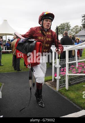Horse Racing - 2014 Benvenuti a Yorkshire Ebor Festival - Darley Yorkshire Oaks giorno - York Racecourse Foto Stock