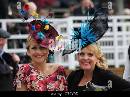 Horse Racing - 2014 Benvenuti a Yorkshire Ebor Festival - Darley Yorkshire Oaks giorno - York Racecourse Foto Stock