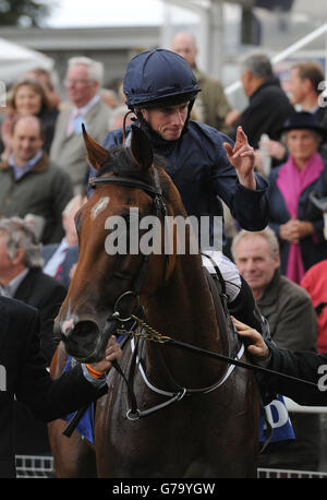 Horse Racing - 2014 Benvenuti a Yorkshire Ebor Festival - Darley Yorkshire Oaks giorno - York Racecourse Foto Stock