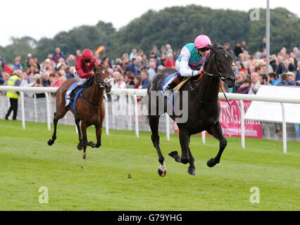 Horse Racing - 2014 Benvenuti a Yorkshire Ebor Festival - Darley Yorkshire Oaks giorno - York Racecourse Foto Stock