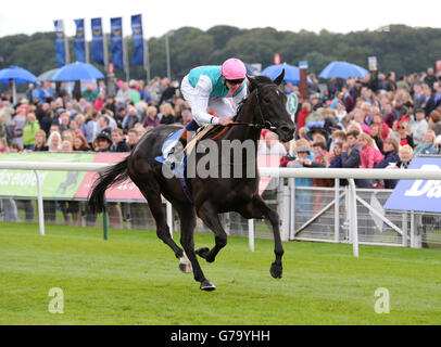 Horse Racing - 2014 Benvenuti a Yorkshire Ebor Festival - Darley Yorkshire Oaks giorno - York Racecourse Foto Stock