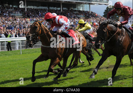 Horse Racing - 2014 Benvenuti a Yorkshire Ebor Festival - Betfred Ebor giorno - York Racecourse Foto Stock