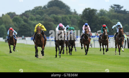 Horse Racing - 2014 Benvenuti a Yorkshire Ebor Festival - Juddmonte Interntional giorno - York Racecourse Foto Stock