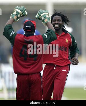 NESSUN UTILIZZO DEL TELEFONO CELLULARE. Douglas Hondo dello Zimbabwe (a destra) festeggia con il Capitano Tatenda Taibu, dopo aver preso il wicket di Marcus Trescoshight in Inghilterra, nella prima partita del ICC Champions Trophy, One Day International a Edgbaston, Birmingham. Foto Stock