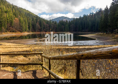 Vista sul lago vicino il pino fores in montagna Foto Stock
