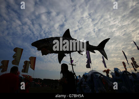 Bestival 2014 - terzo giorno. Gli artisti si esibiscono nella sfilata di abiti alla Bestival, che si tiene al Robin Hill Adventure Park, Isola di Wight. Foto Stock