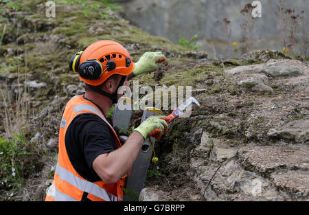 I tecnici di accesso alle corde prelevano le erbacce a mano dalle pareti del castello di Bodiam nel Sussex orientale per contribuire a mantenere la pietra arenaria medievale come parte del lavoro di conservazione in corso. Foto Stock