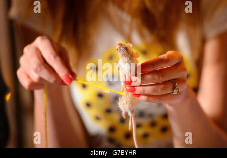 Una donna traccia un mouse morto durante un workshop tassidermiano per principianti, tenuto a Boxpark, Shoreditch, a est di Londra. Foto Stock