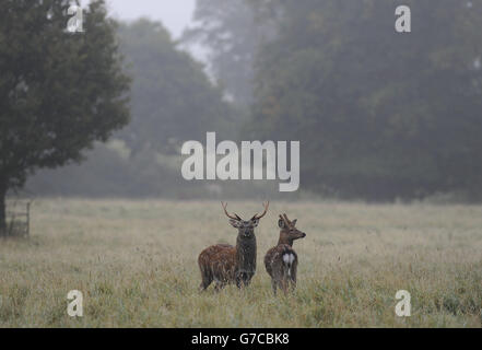 Autunno meteo Sept xi 2014 Foto Stock