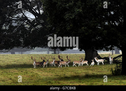 Autunno meteo Sept xi 2014 Foto Stock