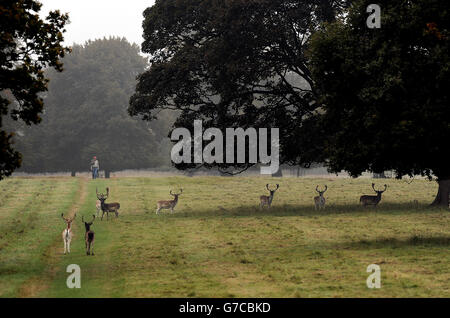 Autunno meteo Sept xi 2014 Foto Stock