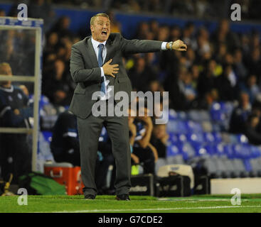 Calcio - Sky scommessa Championship - Birmingham City v Sheffield mercoledì - St Andrew's Foto Stock