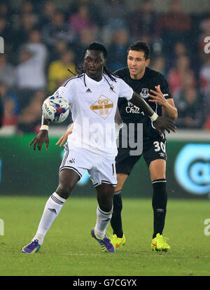 Il Bafetimbi Gomis di Swansea City (a sinistra) batte per la palla con l'Antolin Alcaraz di Everton durante la partita Capital One Cup Third Round al Liberty Stadium di Swansea. PREMERE ASSOCIAZIONE foto. Data foto: Martedì 23 settembre 2014. Vedi PA Story SOCCER Swansea. Il credito fotografico deve essere: Nick Potts/PA Wire. Foto Stock