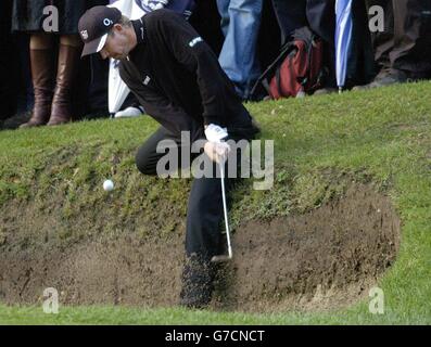 HSBC GOLF Padraig Harrington Foto Stock