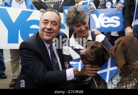 Il primo ministro scozzese Alex Salmond è con due brevi puntatori tedeschi e sostenitori di Yes a Turriff durante un giorno storico per la Scozia, in quanto gli elettori determinano se il paese dovrebbe rimanere parte del Regno Unito. Foto Stock