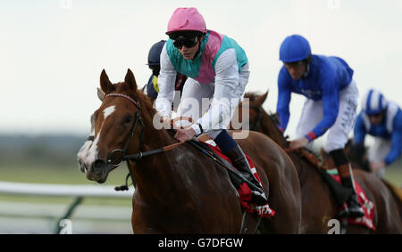 Horse Racing - Betfred Cesarewitch Sabato - Newmarket Racecourse Foto Stock