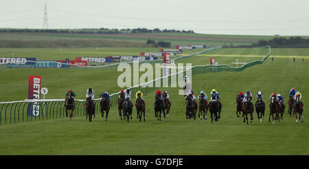 Horse Racing - Betfred Cesarewitch Sabato - Newmarket Racecourse Foto Stock