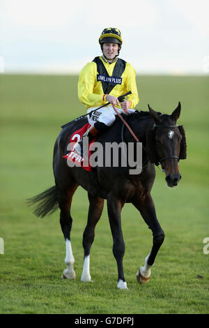 Horse Racing - Betfred Cesarewitch Sabato - Newmarket Racecourse Foto Stock