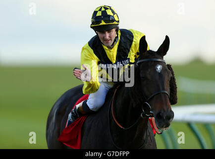 Corse ippiche - Betfred Cesarewitch Sabato - circuito di Newmarket. Grande facile cavalcato dal jockey Tom Queally dopo aver vinto il Betfred Cesarewitch all'ippodromo di Newmarket. Foto Stock