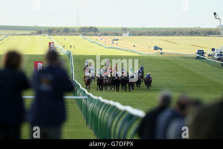 Horse Racing - Betfred Cesarewitch Sabato - Newmarket Racecourse Foto Stock