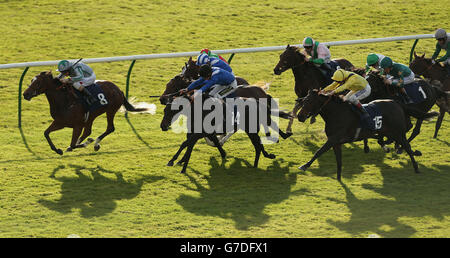 Horse Racing - Betfred Cesarewitch Sabato - Newmarket Racecourse Foto Stock