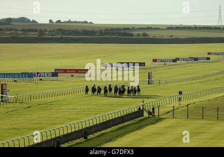 Horse Racing - Betfred Cesarewitch Sabato - Newmarket Racecourse Foto Stock