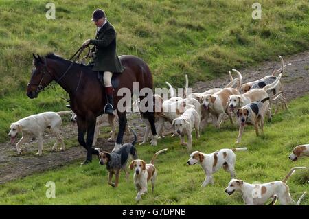 CAPT Ian Farquhar, Maestro congiunto della Beaufort Hunt con i hounds durante una caccia alla volpe nei pressi di Tetbury, Gloucestershire. Domani la fila politica sulla caccia alla volpe si riaccenderà nella Camera dei Lord, poiché più di 40 colleghi discuteranno la seconda lettura del disegno di legge del governo che vieta la caccia con le zabbie. Foto Stock