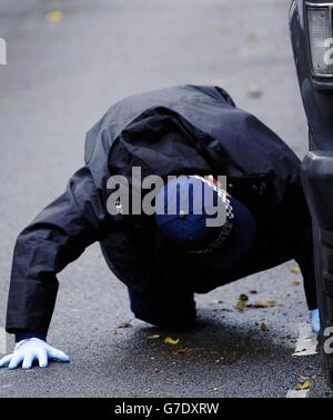 Omicidio di Chiswick Foto Stock